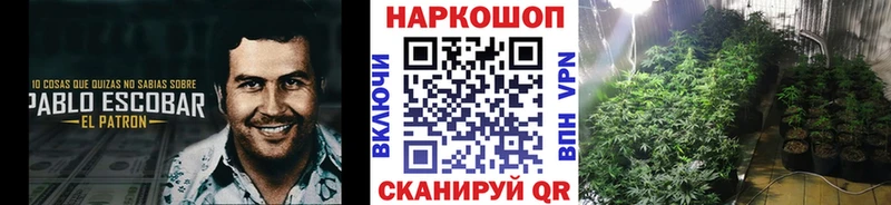 Где купить наркоту Челябинск Бошки Шишки Cocaine ГАШ СК МЕФ