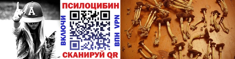 нарко площадка официальный сайт  Челябинск  Галлюциногенные грибы MAGIC MUSHROOMS 
